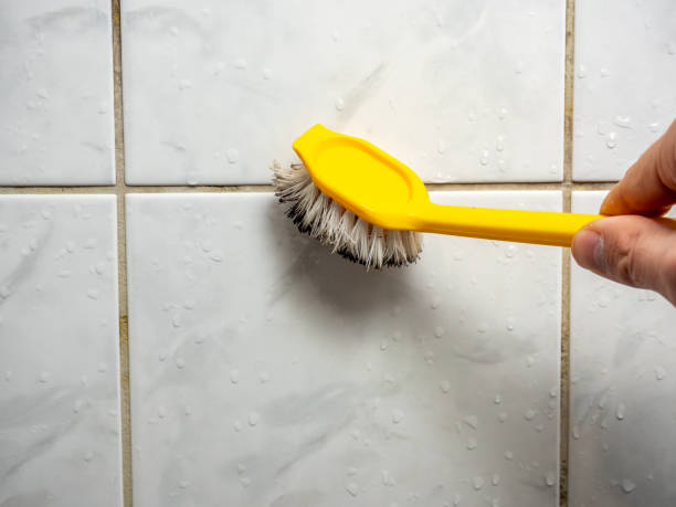 Best Mold Testing and Removal  in Berea, OH