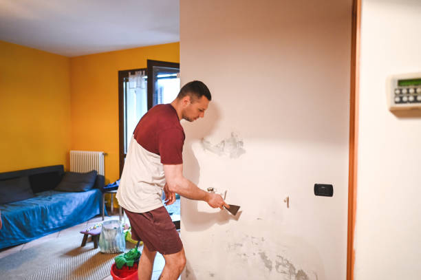 Best Office Mold Removal Services  in Berea, OH